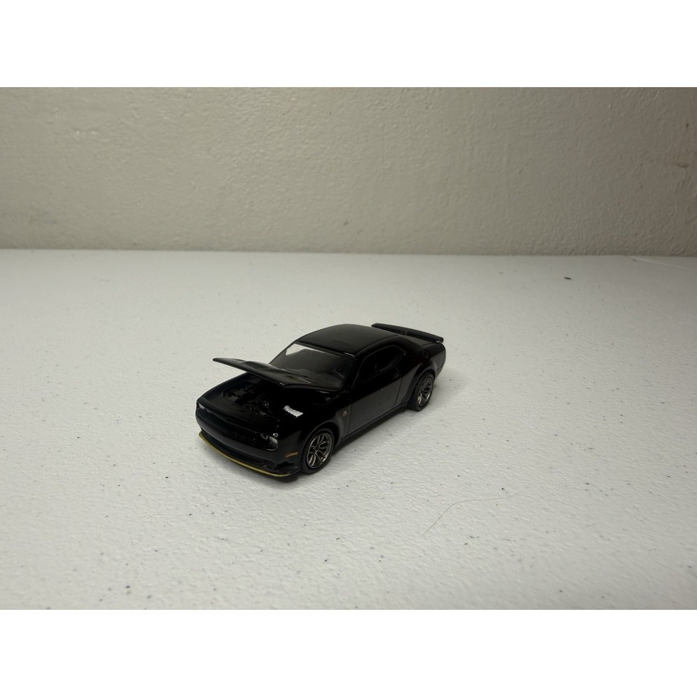 Auto World New Casting '19 Dodge Challenger R/T Scat Pack 1:64 Scale Diecast302A